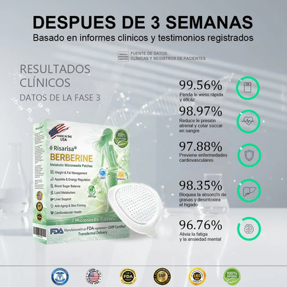 ⏳ Oferta por tiempo limitado | Risarisa® BERBERINE ❤️ Solución de Parche Nano Un enfoque integral, sin dolor ni agotamiento, para apoyar obesidad, hígado graso, presión alta, inflamación y dolor articular, todo en un solo protocolo✨